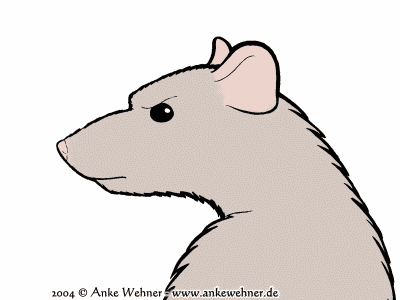 Rat