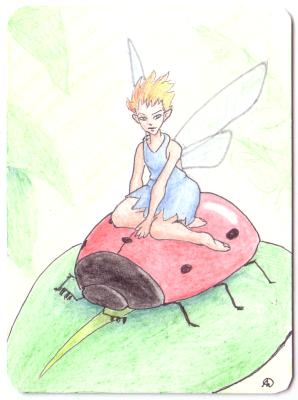 Ladybug Fairy