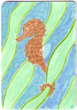 Seahorse