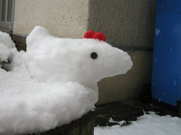 Snow Chicken