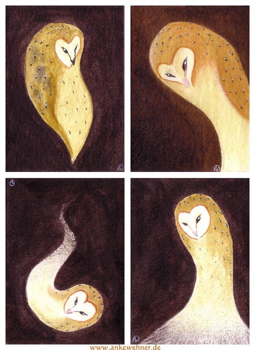 Owl Spirits