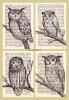 Page Owls