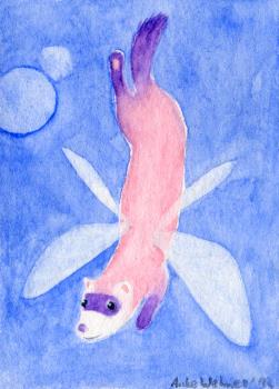 Fairy Ferret